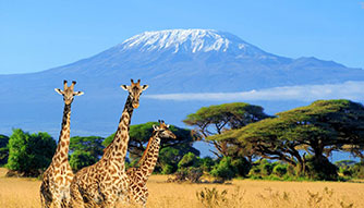 Kenya picture