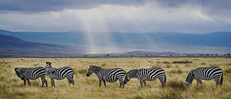 Tanzania picture